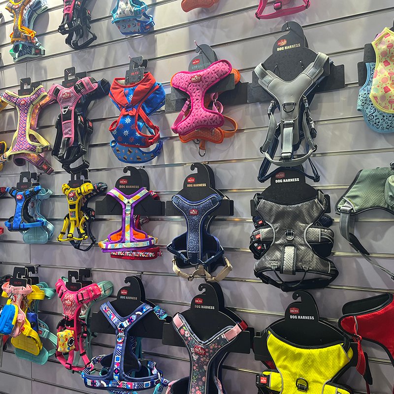 Which pet clothing is more distinctive: plastic hangers or Eco-friendly pet paper hangers?